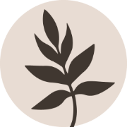 Odara Coworking