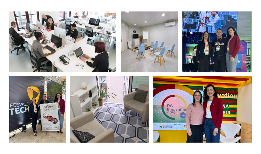 Segunda sessão da página de sobre nós