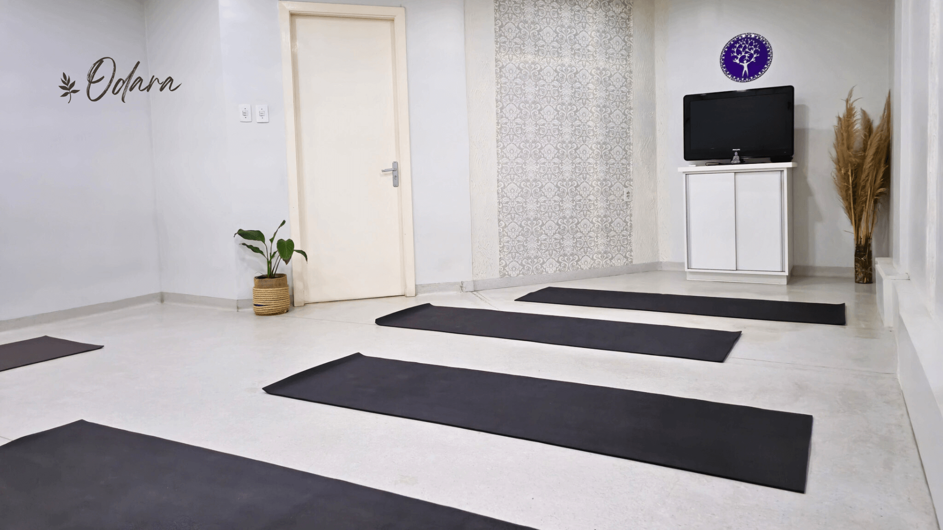 Sala Harmoniaa